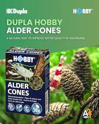 Dupla Hobby Alder Cone 50pk