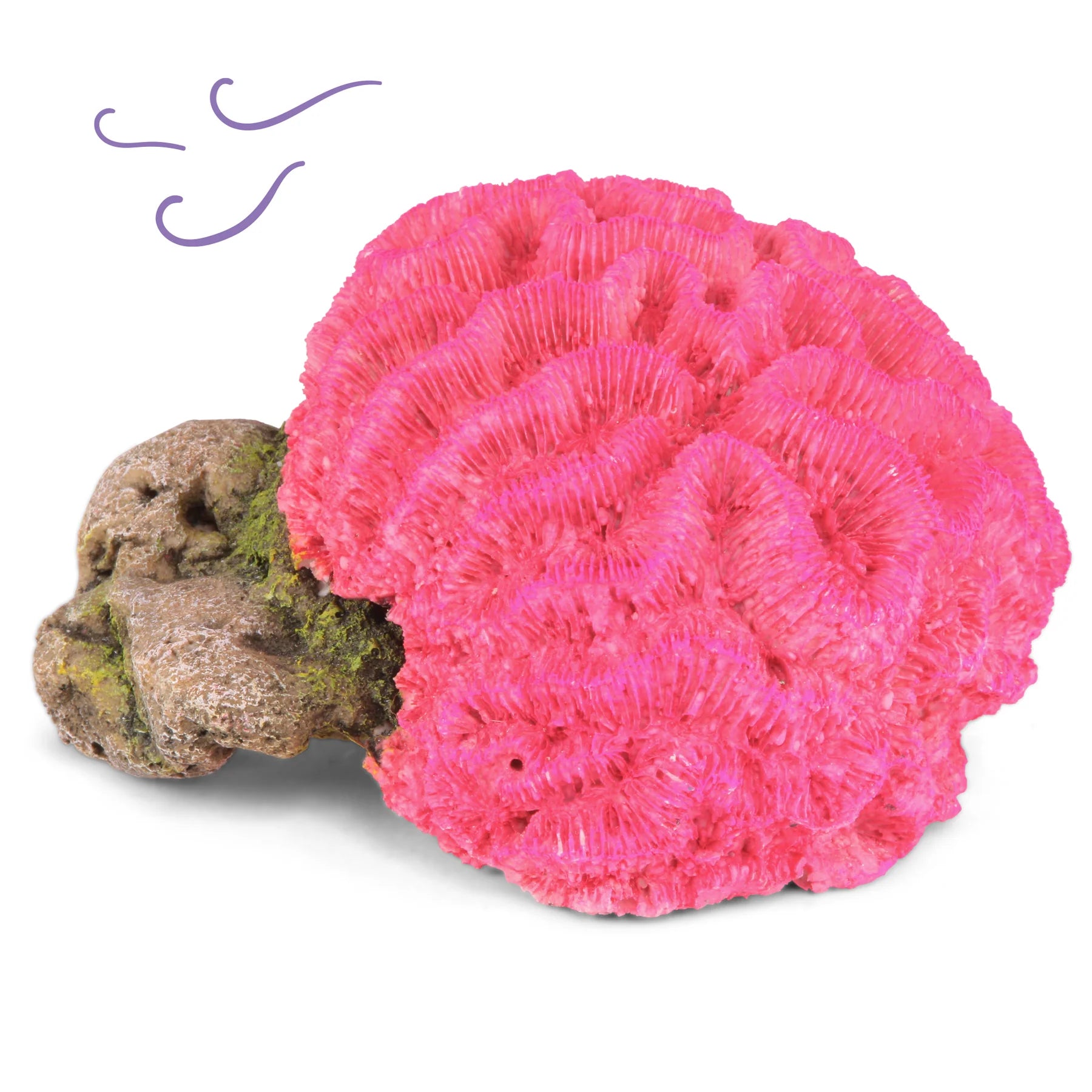 Kazoo - Fluro Brain Coral Pink