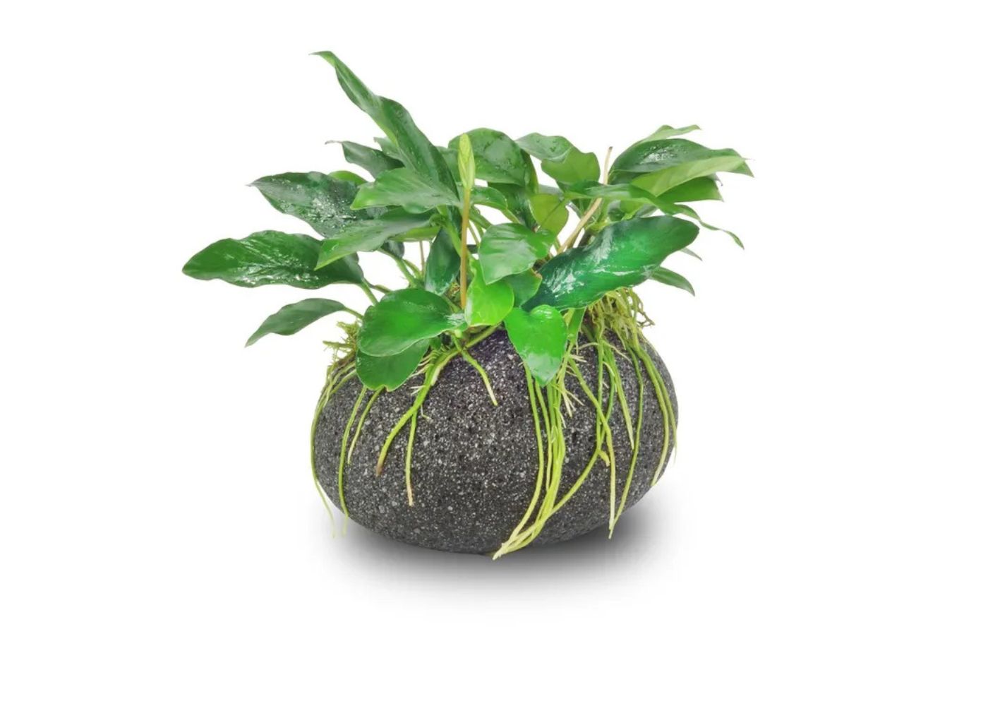 smooth lava rock creation large