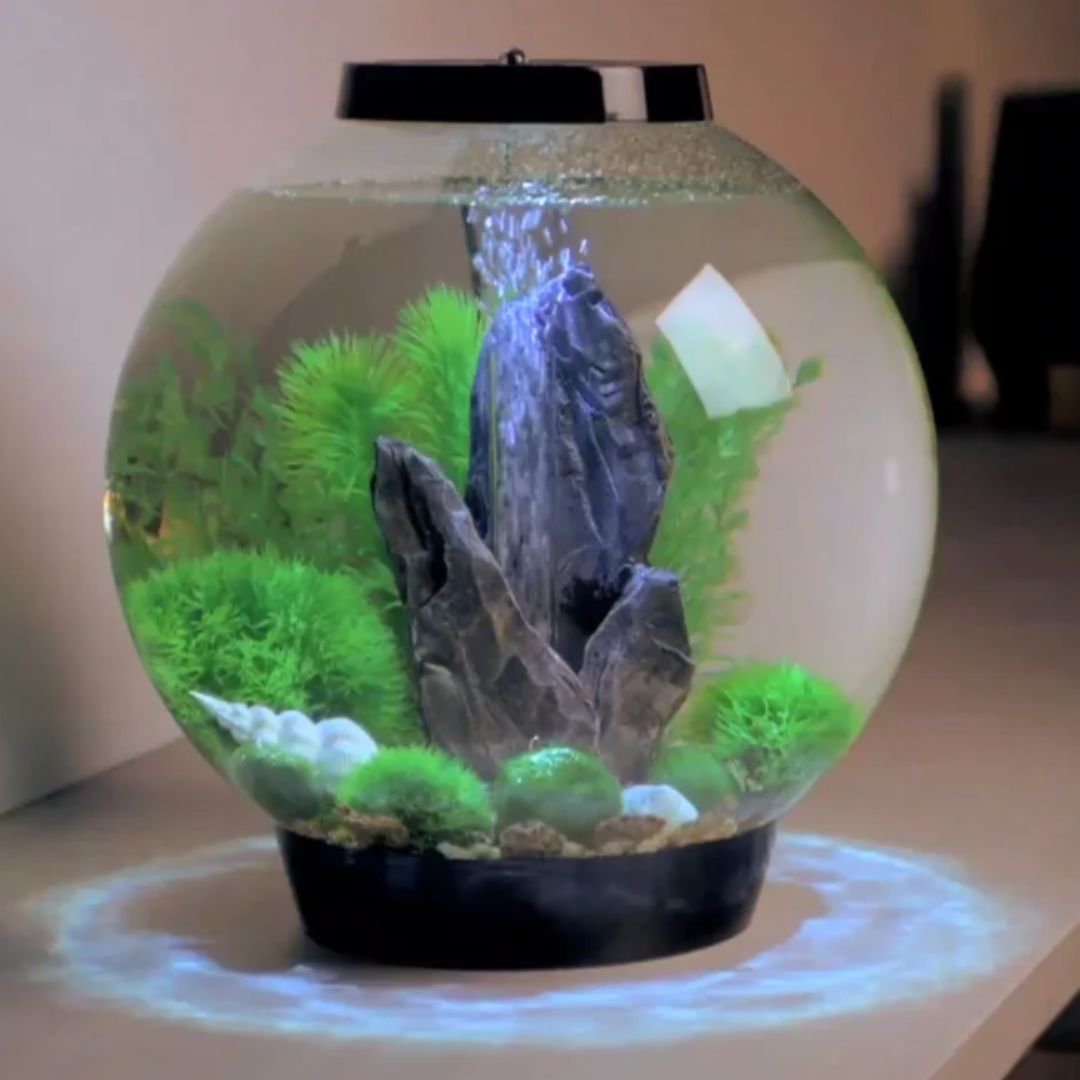 biOrb Decor Set Stone Garden 3