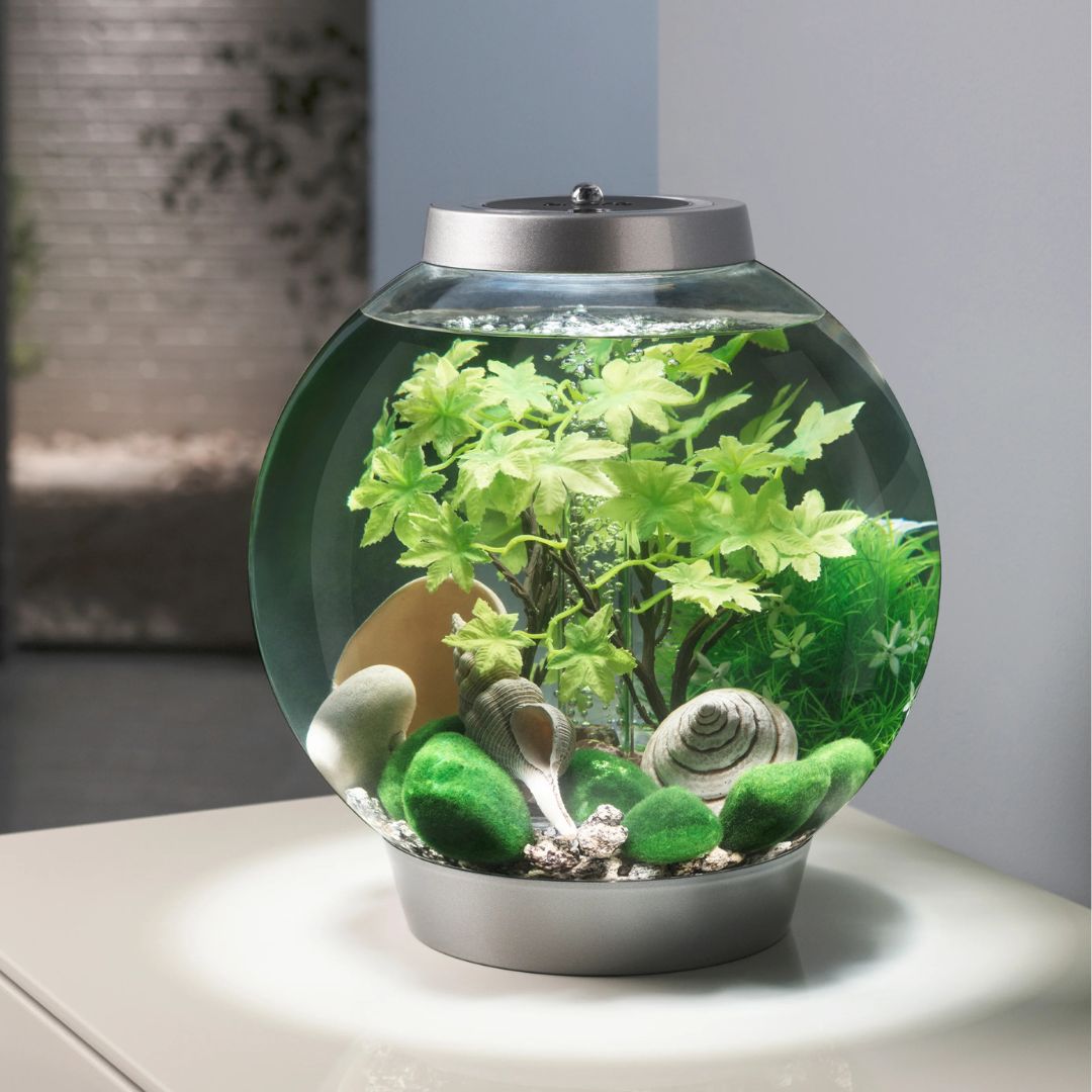 biOrb Decor Set Summer 2