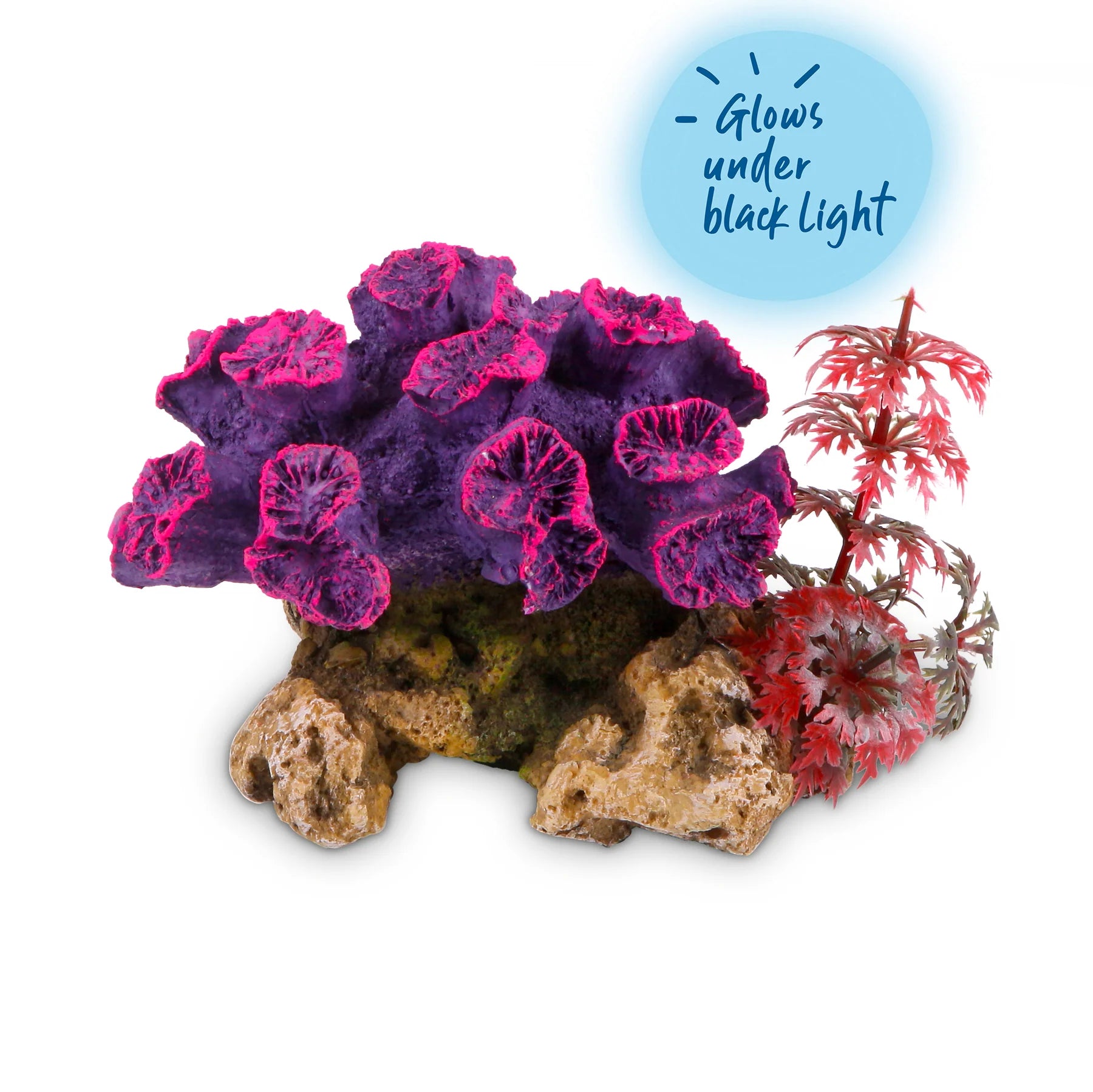 Coral With Plant - Small