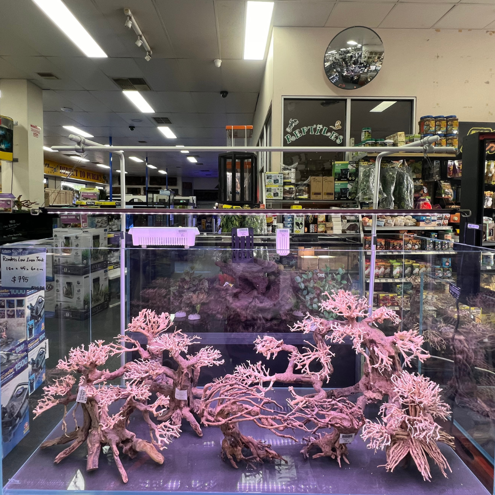 Yi Ding Light Stand for 120 x 45 x 70cm