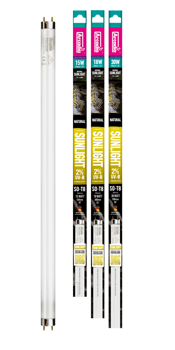 Arcadia Natural Sunlight Tube 24Inch