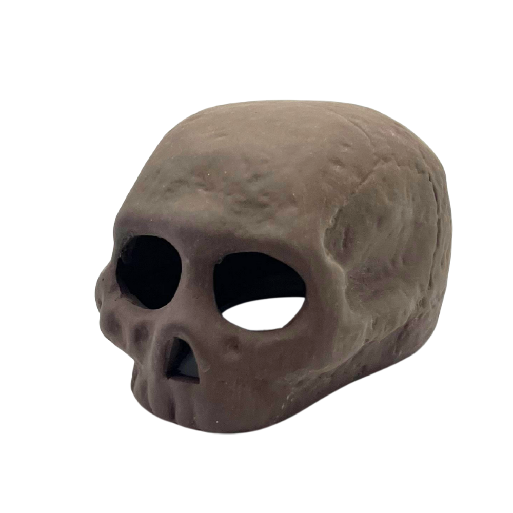 Brown Skull - 7.5x9cm