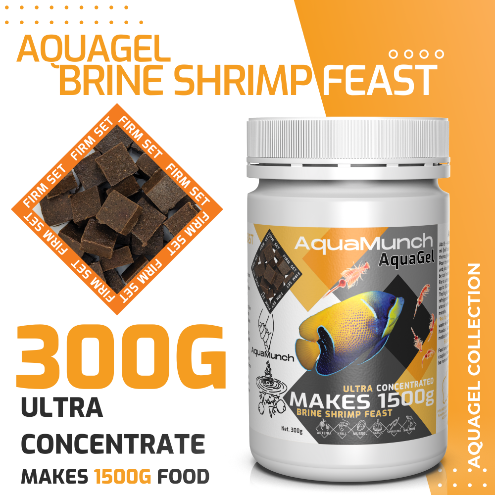 AquaMunch AquaGel Brine Shrimp Feast 3