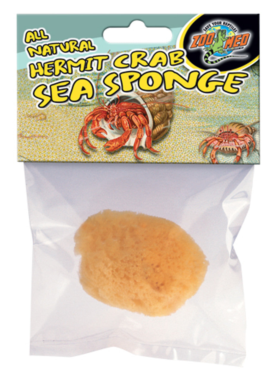 Hermit Crab Sponge
