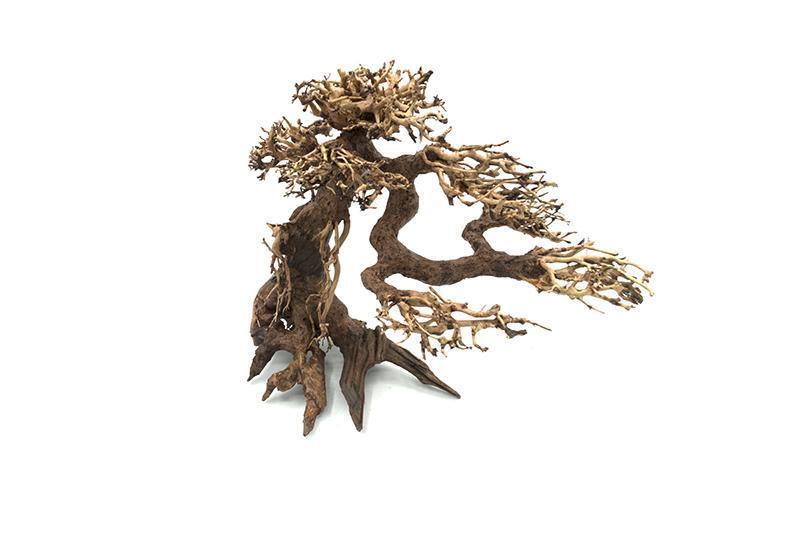 Bonsai Wood