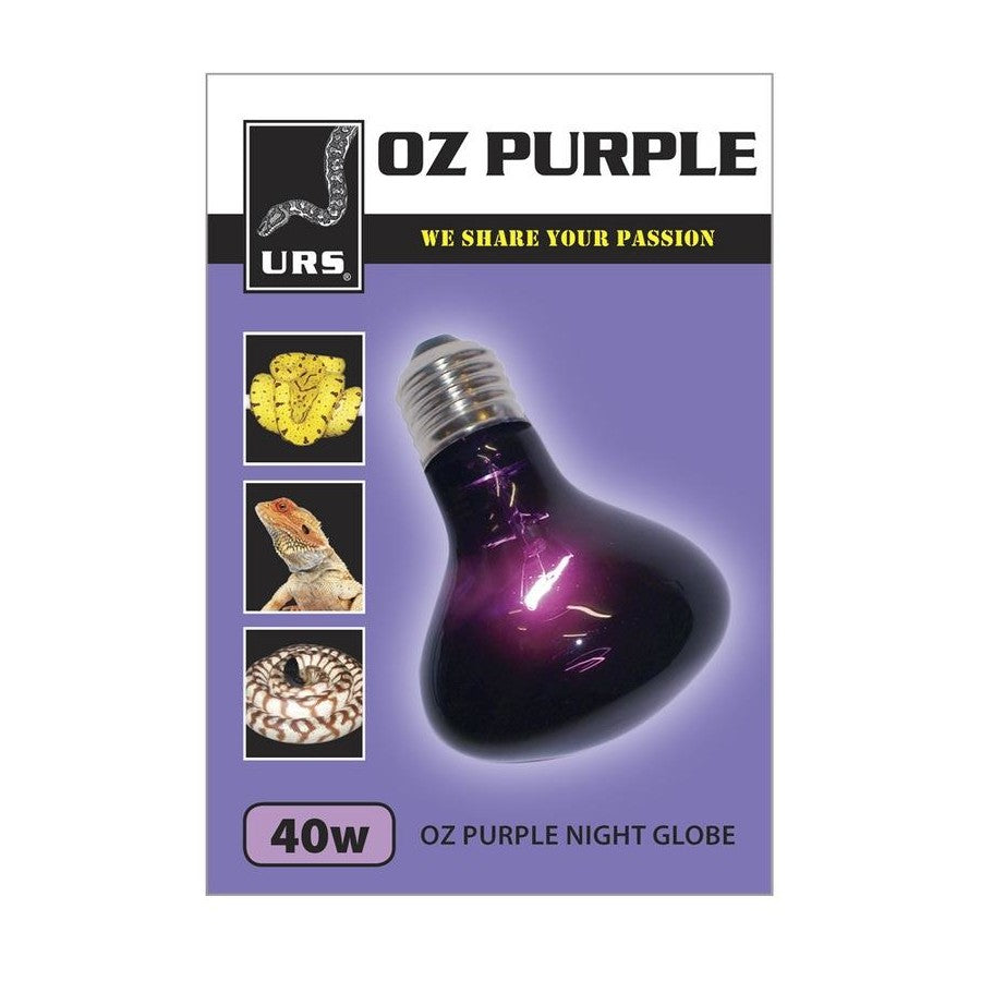 Oz Puple Globe