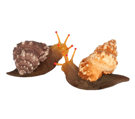 Aqua One Flexiscape Sea Snail Assorted Colours