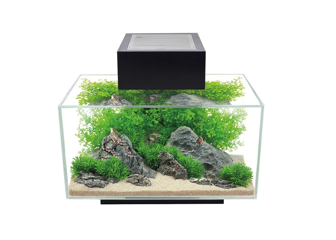 Fluval Edge Aquarium 2