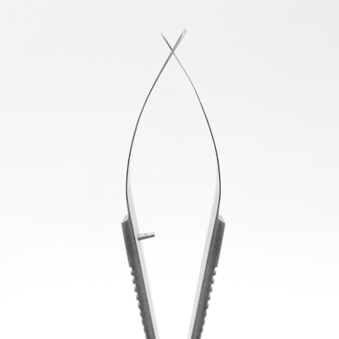 Aquavitro Straight Spring Shears 4