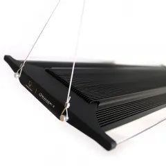 Zetlight - Qmaven2 Q6 WiFi Marine LED 3