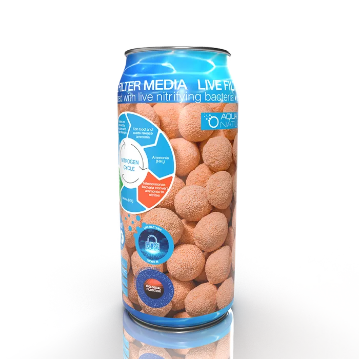 Live Spheres 500ml Can