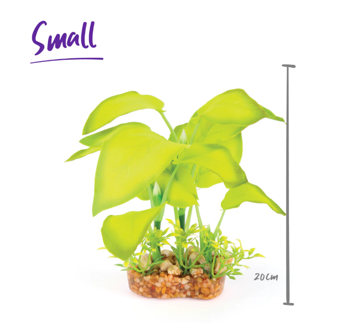 Kazoo - Silk Plant L Leaf Green 2