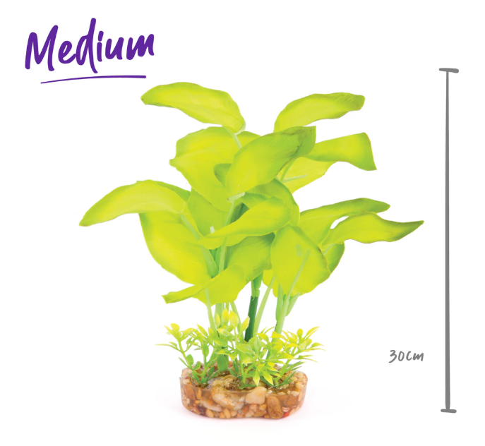 Kazoo - Silk Plant L Leaf Green 3