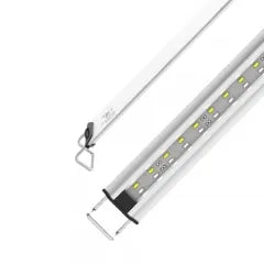 Zetlight - MS Freshwater 3