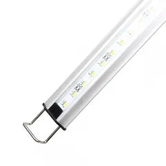 Zetlight - MS Marine 2