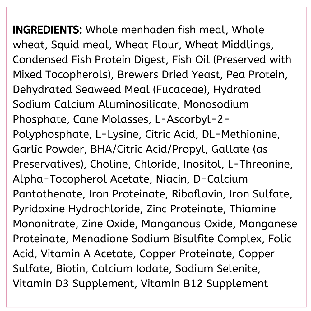 API Bottom Feeder Pellets 3