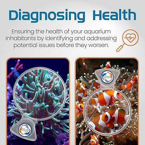 Deepsee Clear Viewer with 4" Lens 3