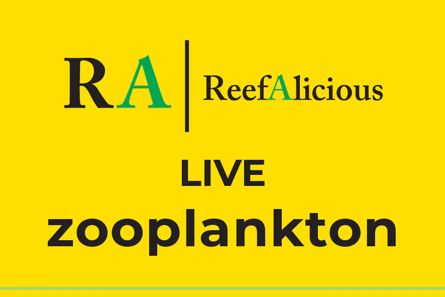 Reefalicious - Live Zooplankton