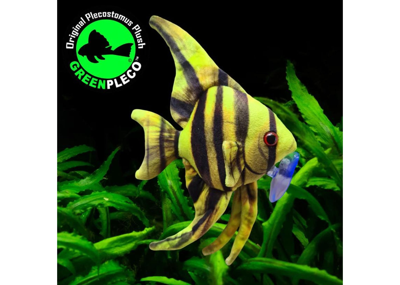 Fish Plushie - Angelfish Rare 13cm x 22cm
