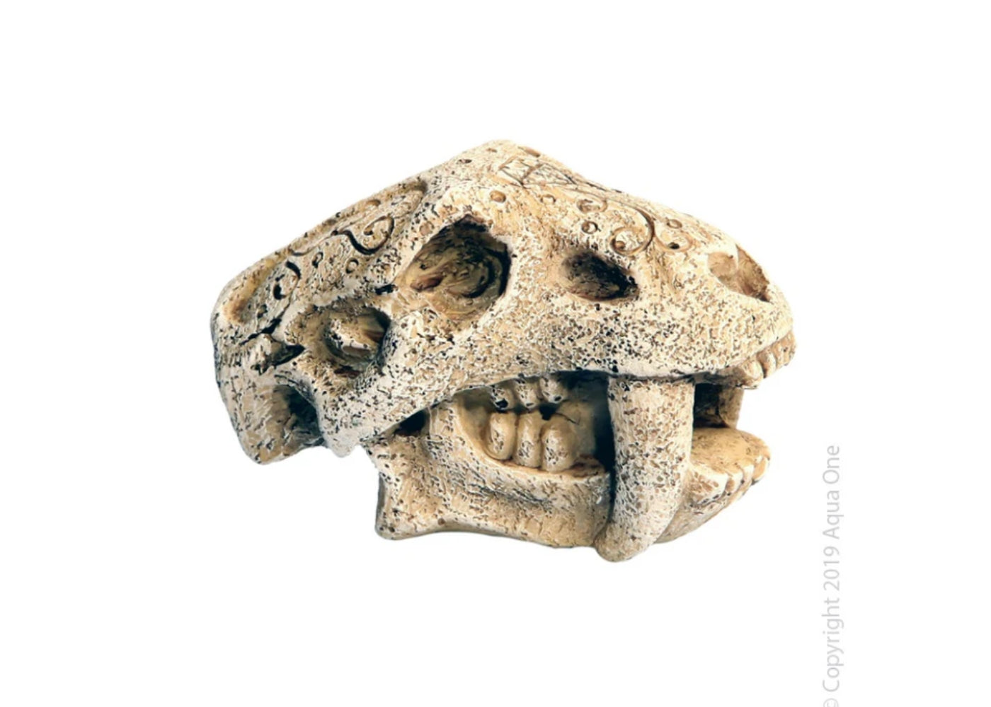 Ornament Mini Dinosour Head W Fangs 5x7x4.5cm