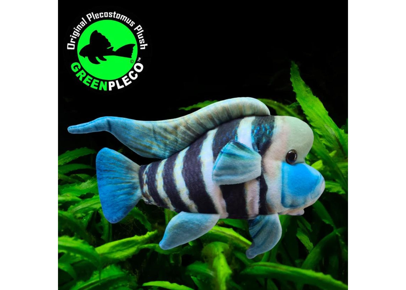 Fish Plushie - Frontosa 27cm