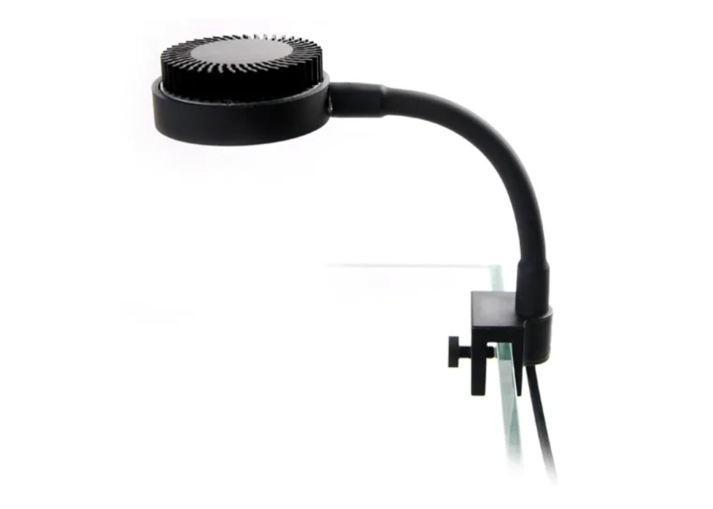 Zetlight Mini 3W LED