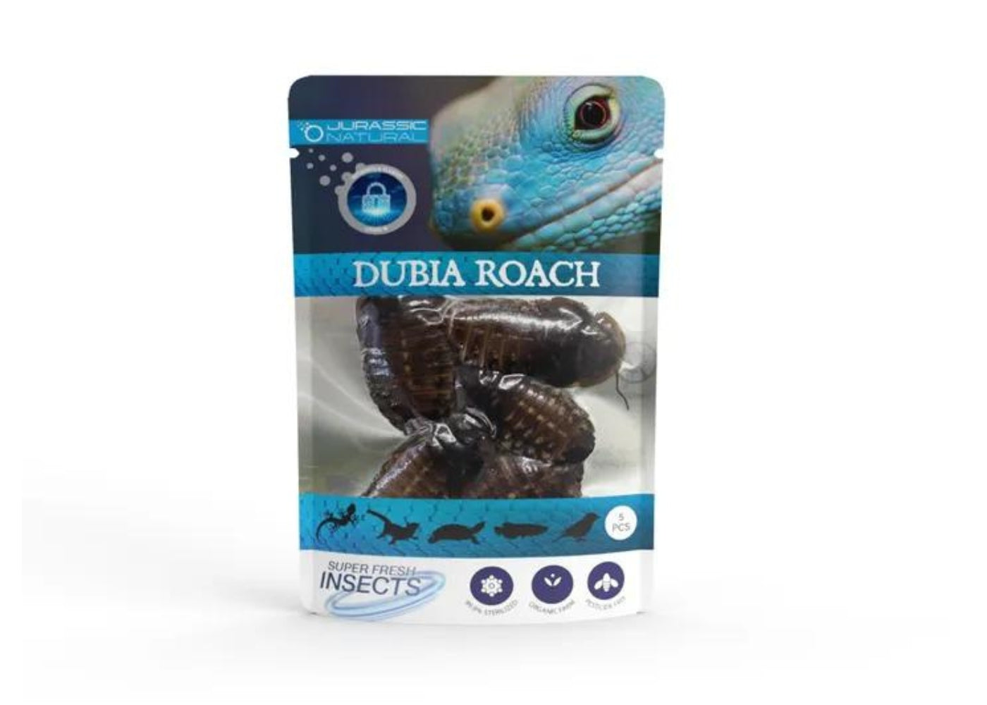 JN DUBIA ROACH 5PCS SINGLE PACK