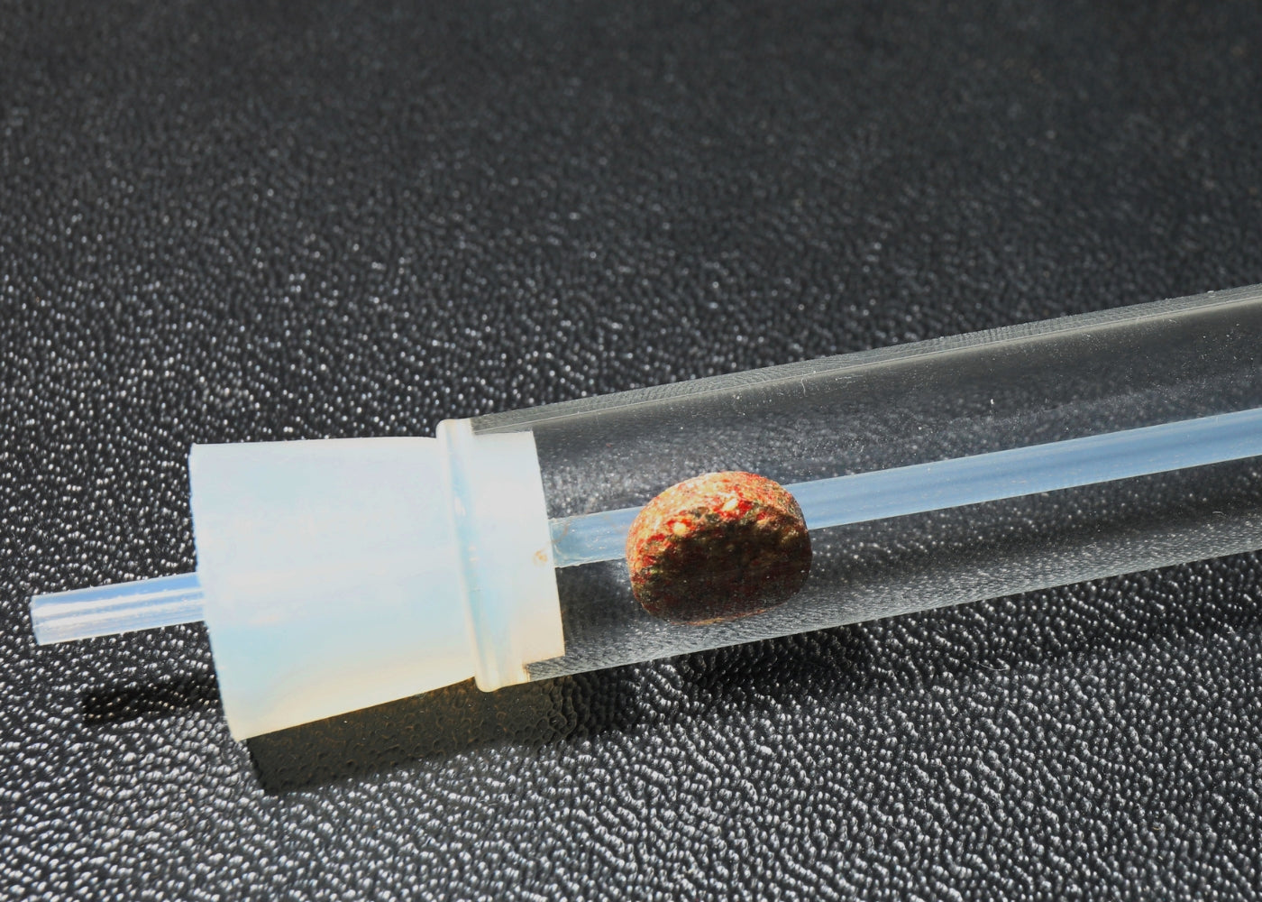 JBL PlaCollect (Planaria and flatworm trap) 4