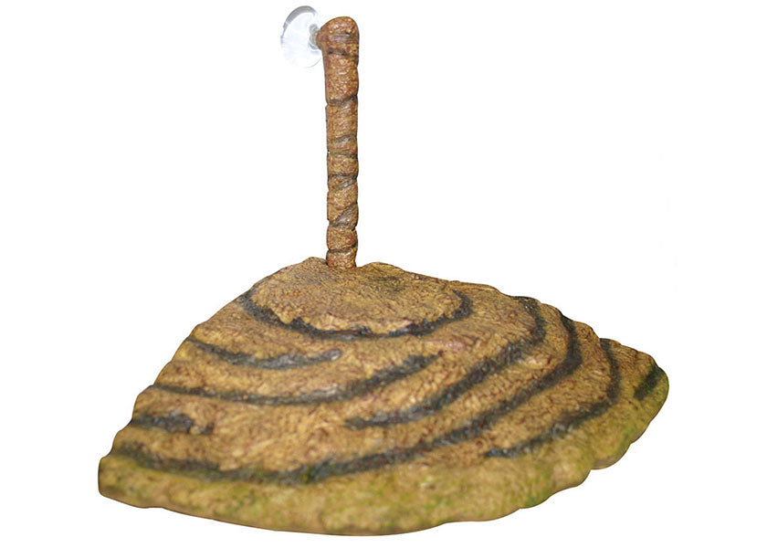 Reptile One Reptile-a-float Landing Corner 2