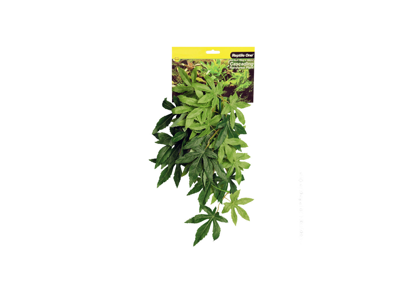 Reptile One Hanging Sativia 40cm