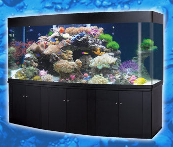 Oceanson RM250 - 250cm Aquarium with Curved Front and Cabinet with sump