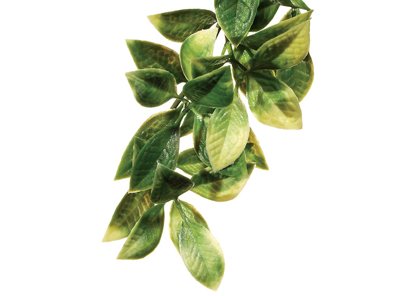 Exo Terra Mandarin Jungle Plant