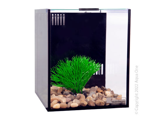 Betta Condo Mono 20x24x24cm