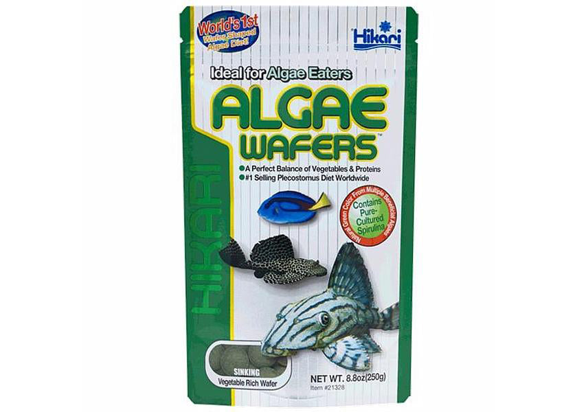 Hikari Algae Wafers 3