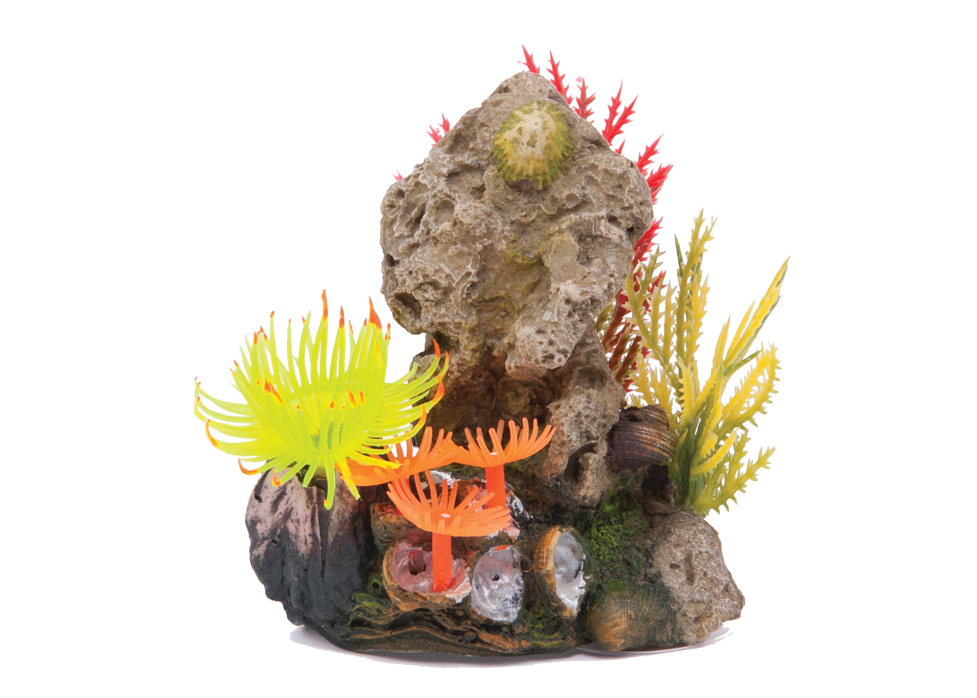 Kazoo - Soft Coral Stone W/Plants