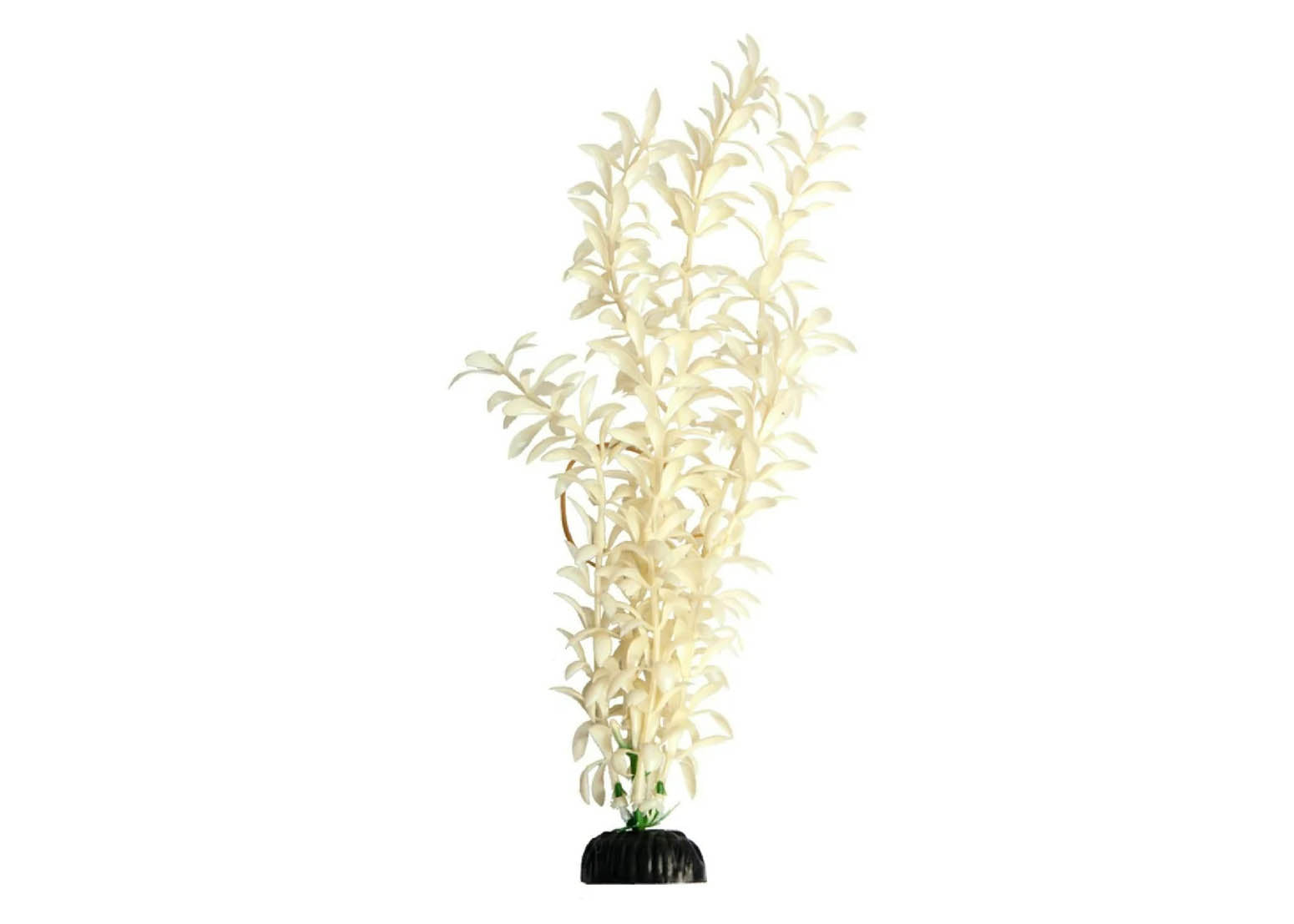 Aqua One Brightscape Medium Ludwigia White