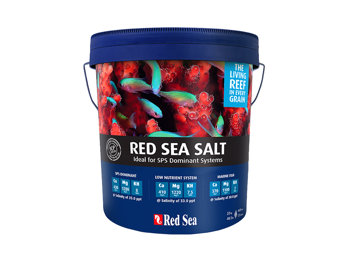 Red Sea Salt