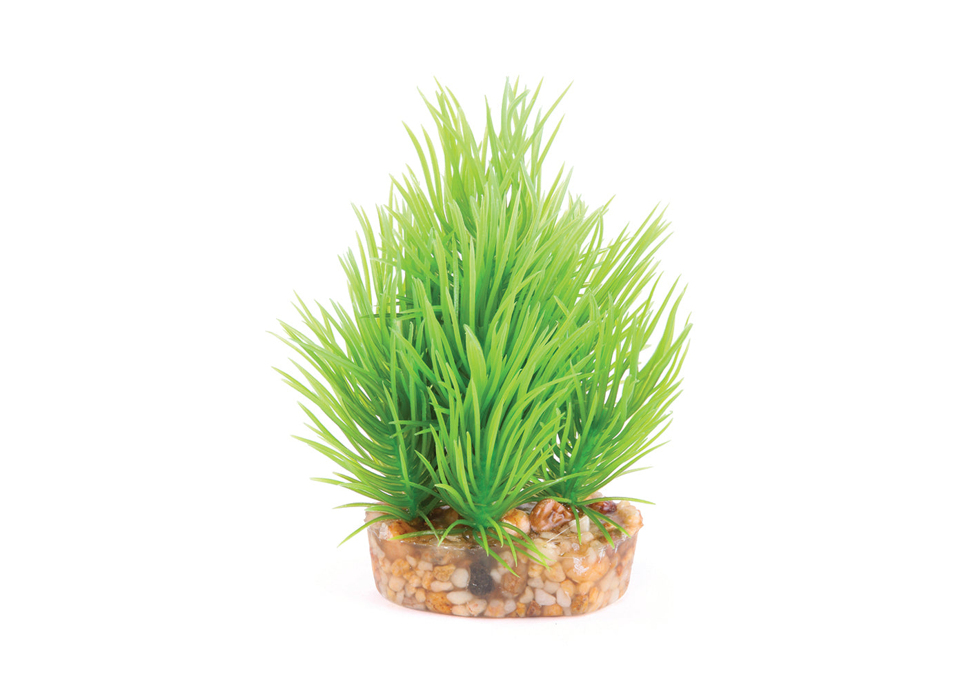 Kazoo Mini Plants Assorted 2