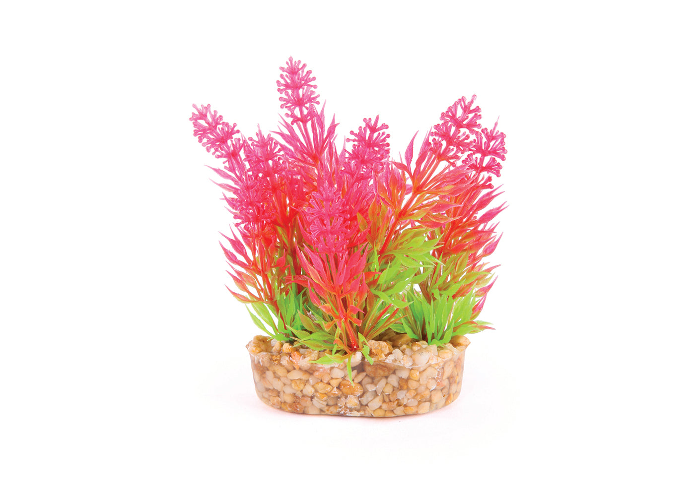 Kazoo Mini Plants Assorted 3