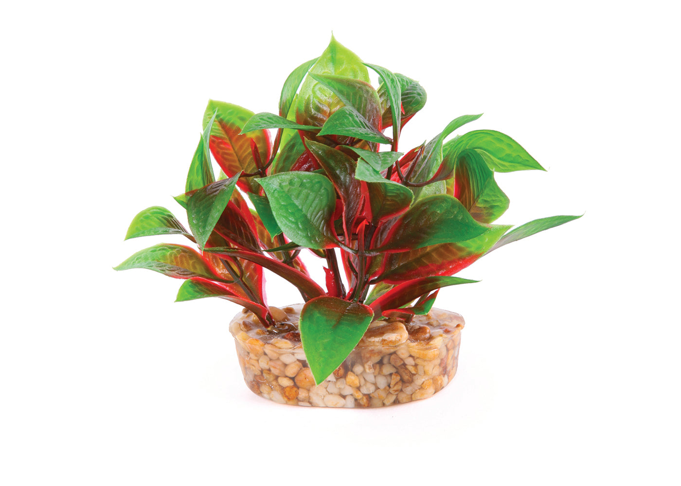 Kazoo Mini Plants Assorted 4