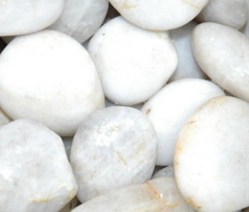 Kirby Pebbles 10kg 3