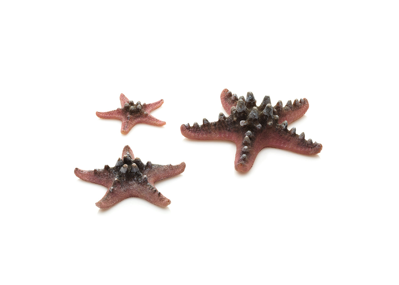biOrb Sea Star - 3 Set 2