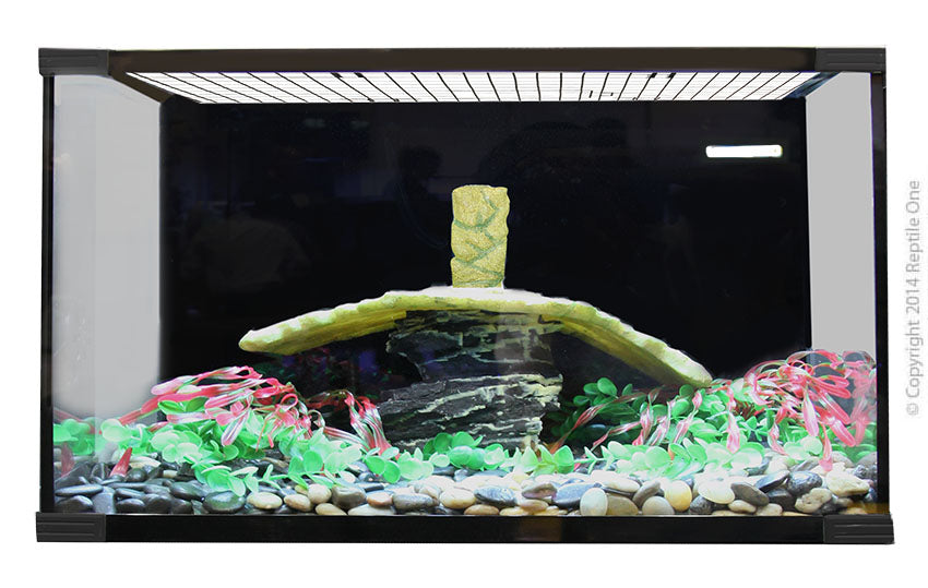 Reptile One Turtle Eco 90 Glass Tank 90Lx45Dx50 2