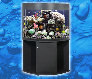 Oceanson C800 Corner Aquarium Set