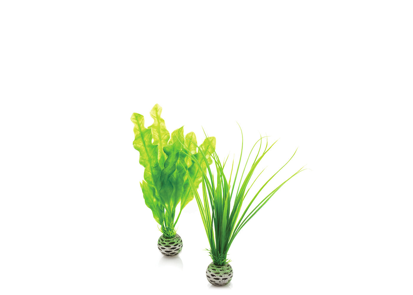 biOrb Easy Plant Set Green