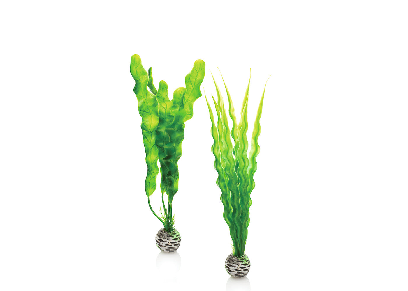 biOrb Easy Plant Set Green 2