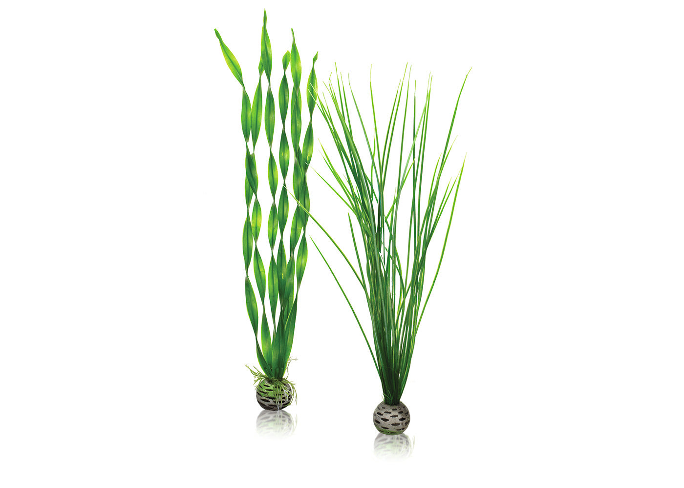 biOrb Easy Plant Set Green 3